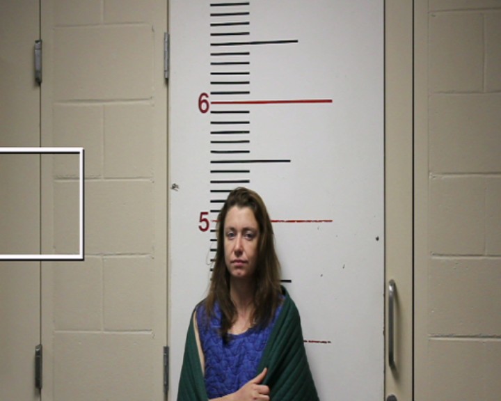 HENDERSON, ASHLEY NICOLE booking photo