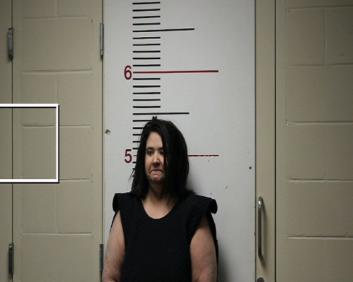 MCMOYLE, KENDRA MARIE booking photo