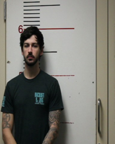 BIRDWELL, JERROD CARL booking photo