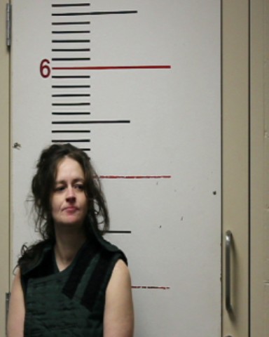 HUFF, TRACEY LYNN booking photo