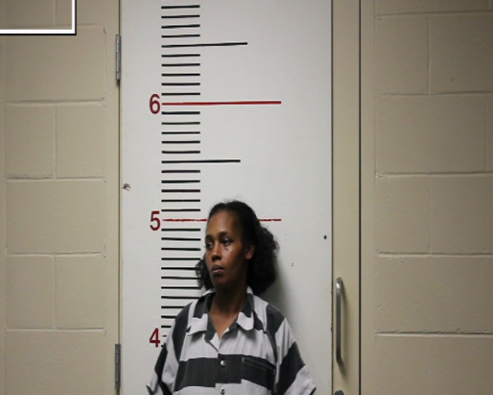 MCMORRIS, BRITTANY OLIVIA booking photo