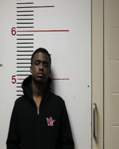 ROBERTS, DAVID LEE, Jr. booking photo