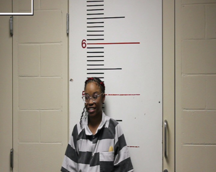 GAY, TYESHIA JANAE booking photo