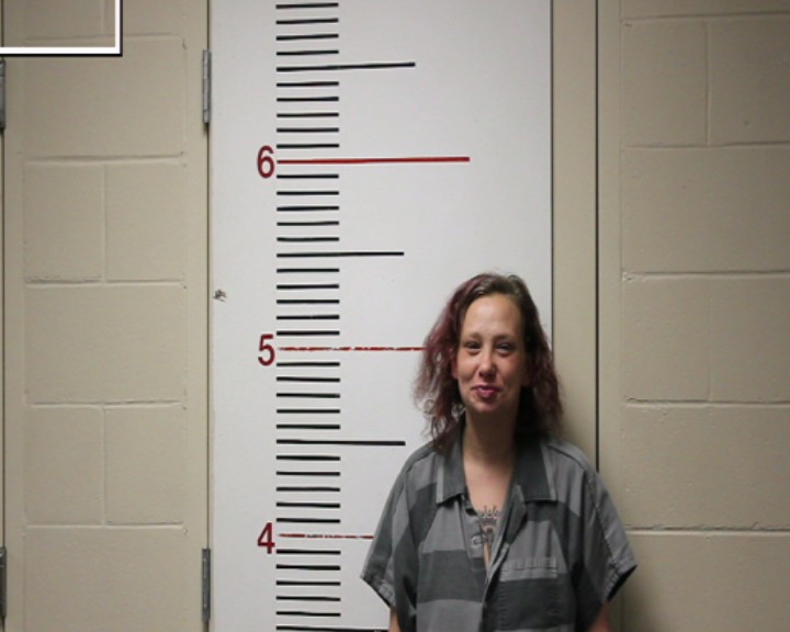 TROUT, CANDICE MARIE booking photo
