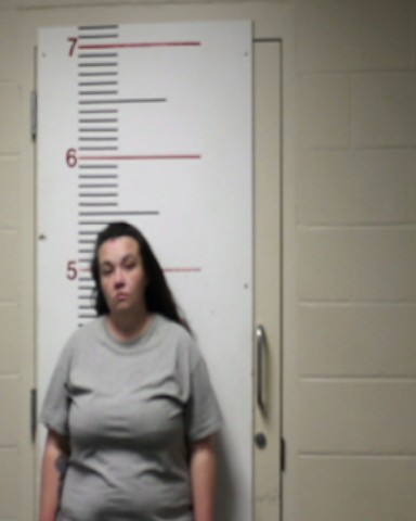 NOONAN, DEEANN MARIE booking photo