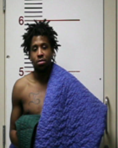 WISE, DEVON MALEK booking photo