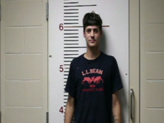 NEWMAN, PRESTON MICHAEL booking photo