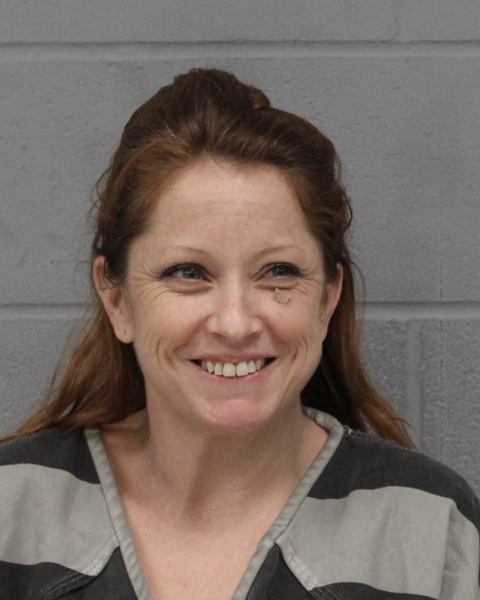 AVRIL CLARK booking photo