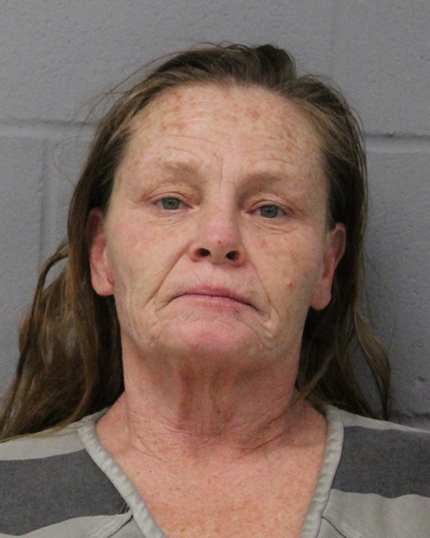 MARISA BEAN arrested by APD