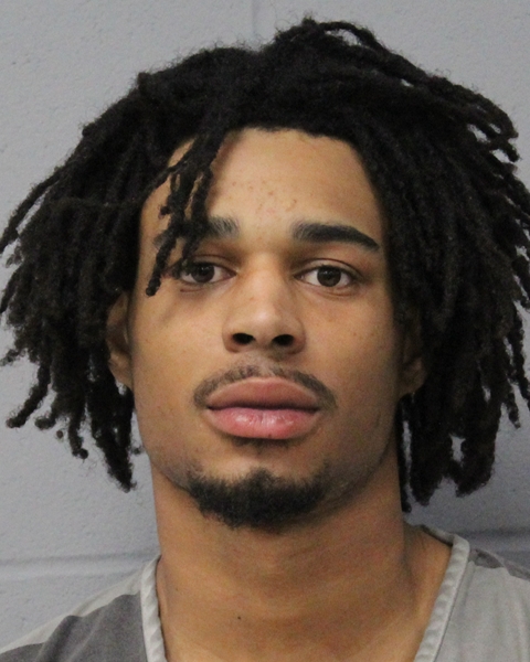 BRITREVAN LEE booking photo