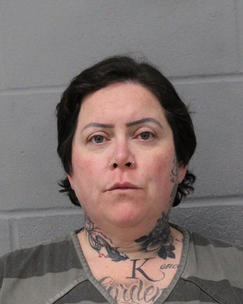 DIANA MCPHERSON booking photo