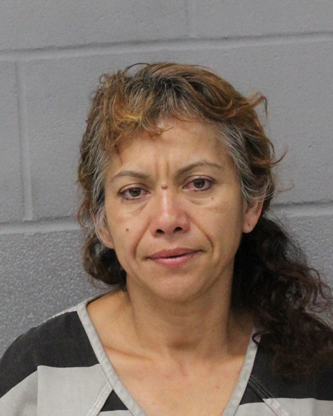 MARIA ESTEVES arrested by APD