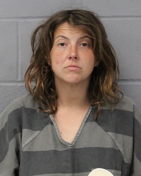 DANA GORDON booking photo