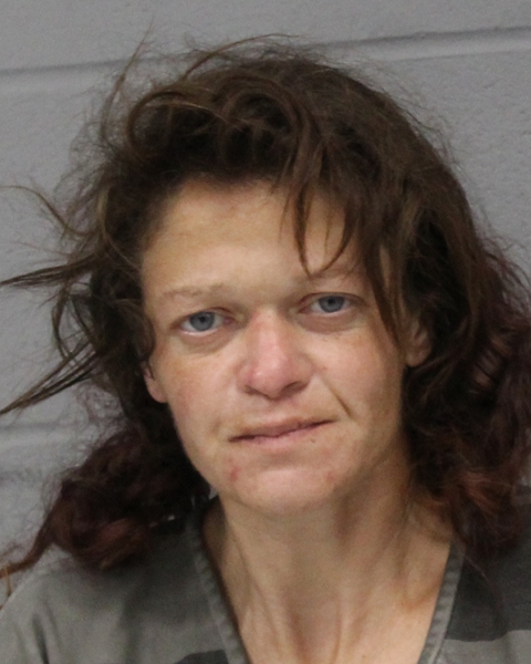 ANGELA DYKES booking photo