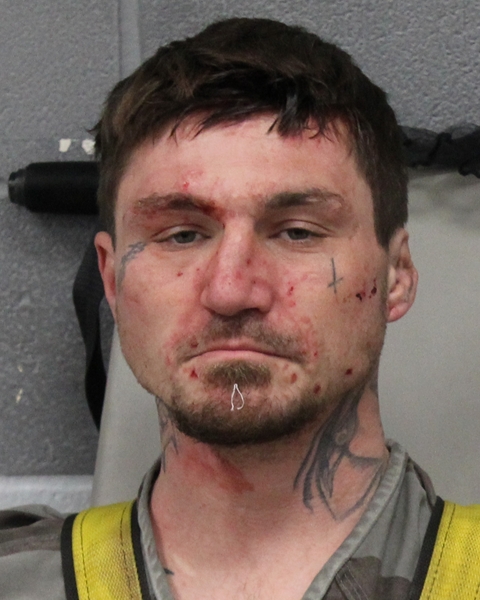 NIKOLAS PRUITT booking photo