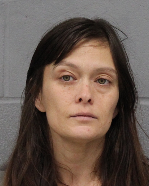 CHRISTINA LEE booking photo