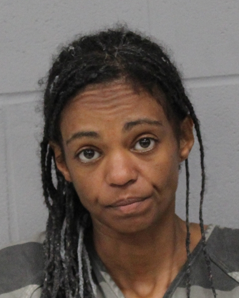 HAYAN TADESSE booking photo