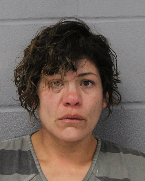 JOANNA SOLIZ booking photo