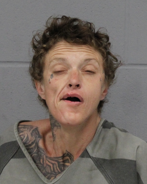 SAVANNAH ANNAS booking photo