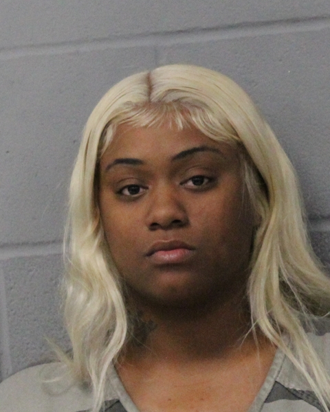 CHERRINE MITCHELL booking photo