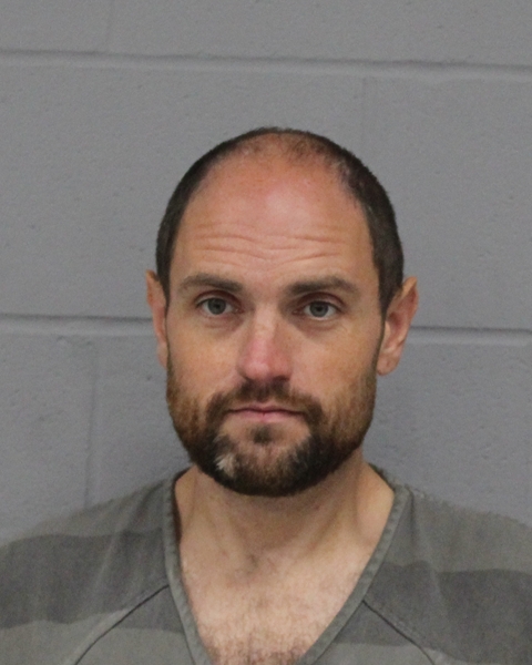 DAVID HAMILTON booking photo