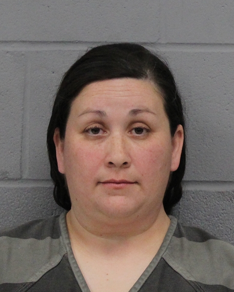 SABRINA FERNANDEZ booking photo