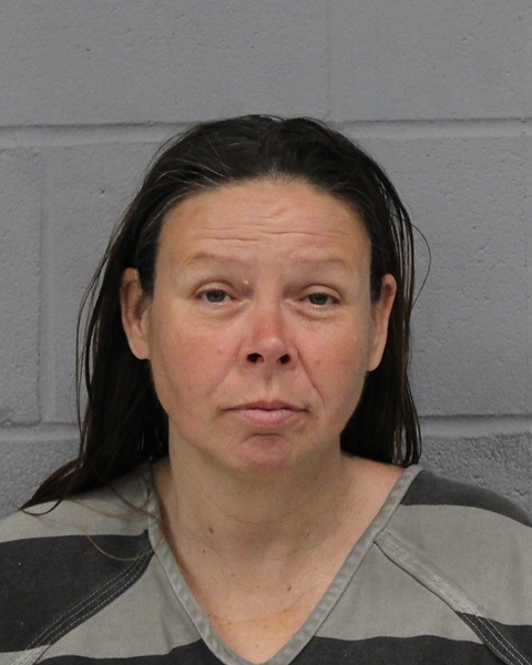 ANJELA KAMINSK booking photo