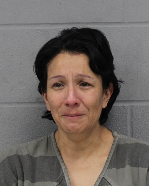 MELVA RODRIGUES booking photo