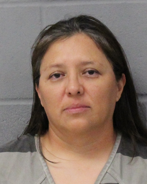JESSICA DEGOLLADO booking photo