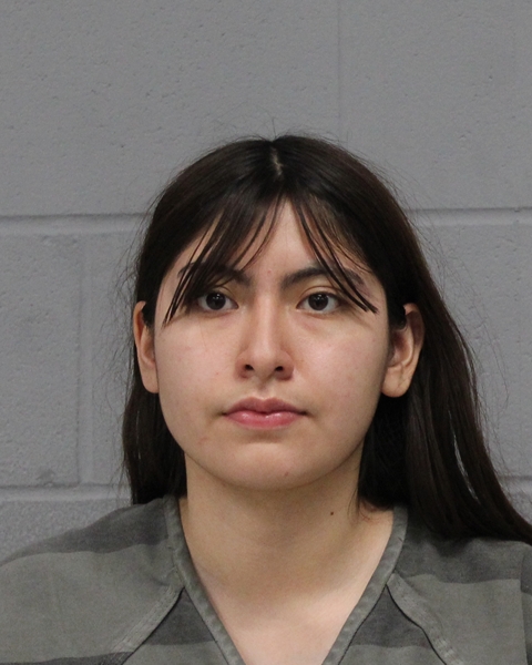 ANAGABRIELA SEGURA booking photo