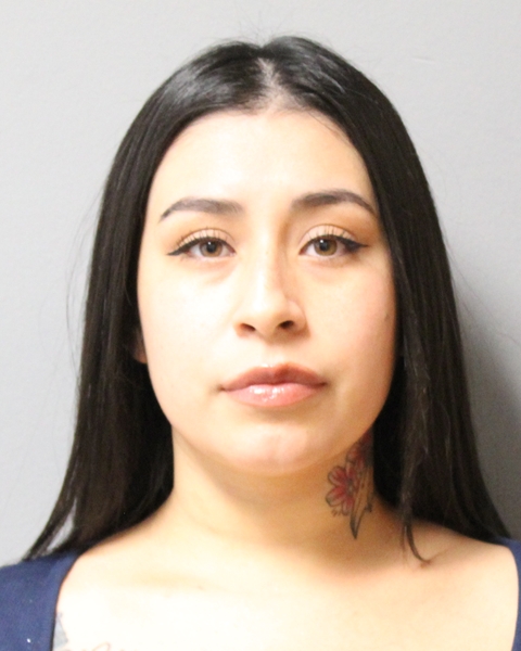 ALYSSA BANUELOS booking photo