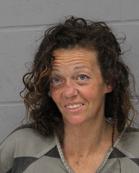 JESSICA WHITESIDE booking photo