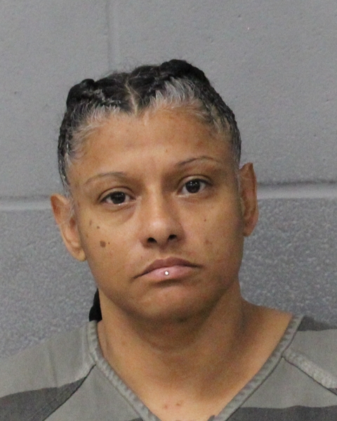 DIANA MENDIETA booking photo
