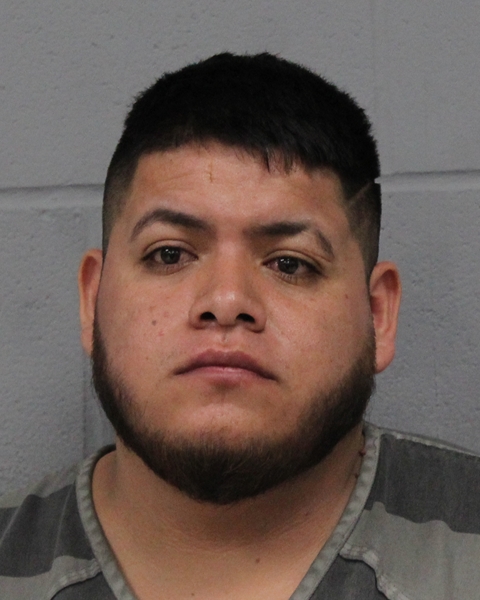 JOHAN CASTILLO RIVERO booking photo