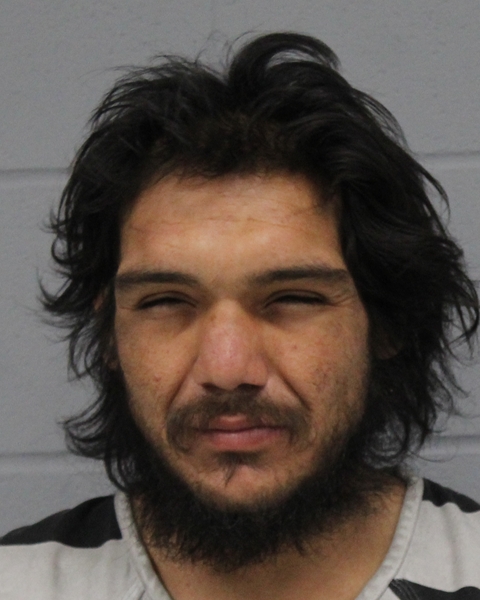 NELSON GARCIA booking photo