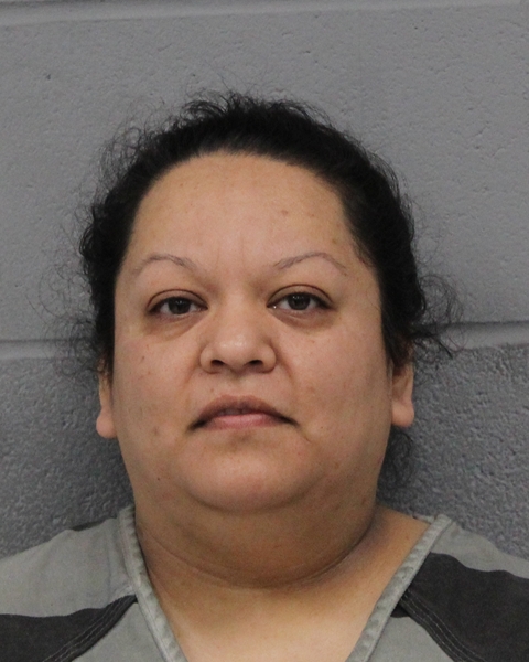 ASUCENA JAIMES booking photo