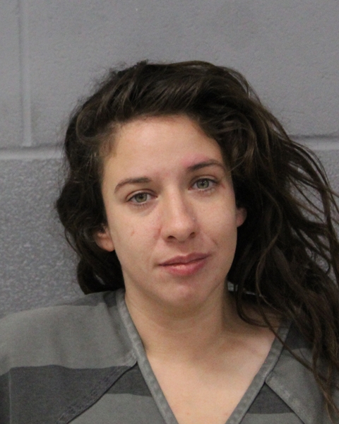 ASHLEY TIBBS booking photo