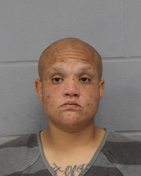 ANNBRIANNA JACKSON booking photo