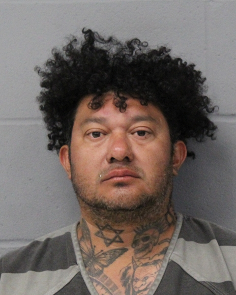 BAYGRON ESTRADA booking photo