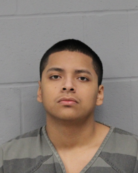 GAEL TORRES booking photo