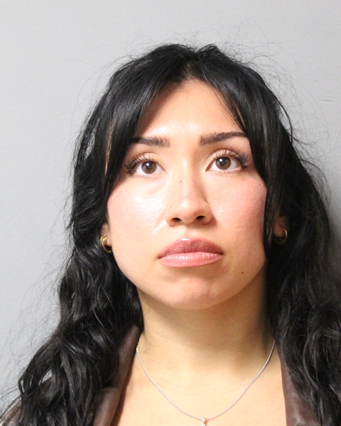 IYEISHA LONG booking photo
