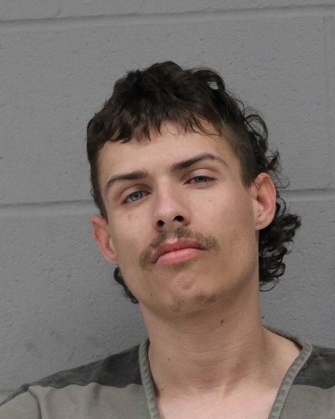 LANE DAVIS booking photo