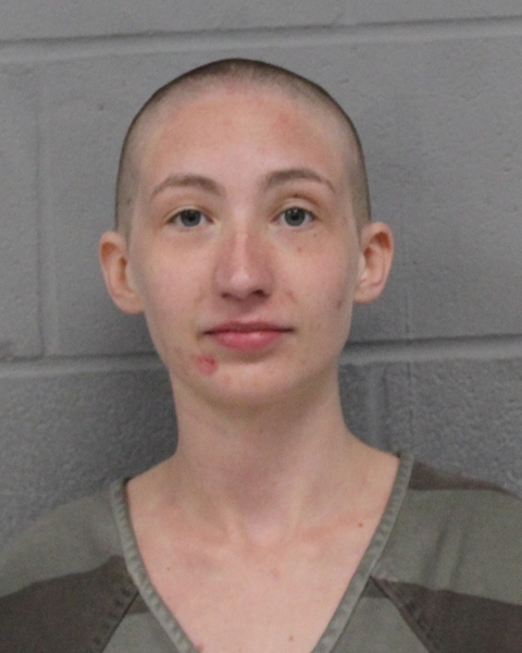 ADDISUN GINGRAS booking photo