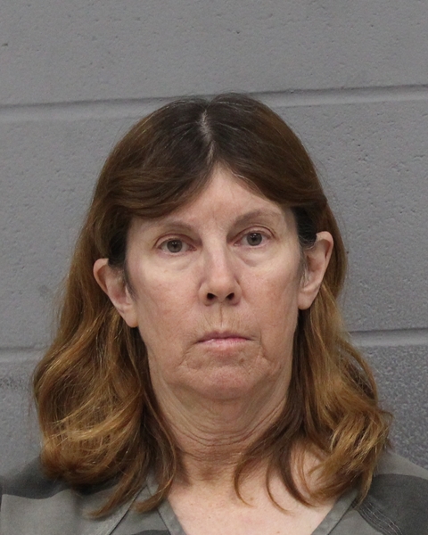 LINDA DILLAWN booking photo