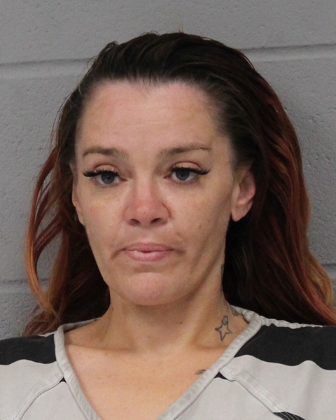 BETHANY LIBBY booking photo