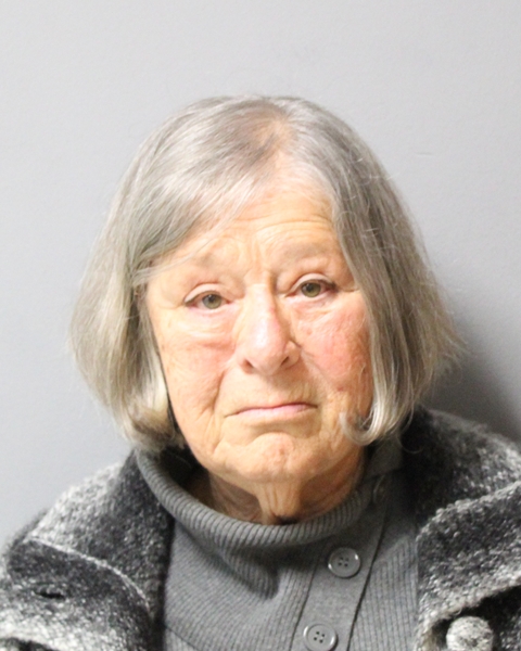 KARLA CASTRIOTTA booking photo