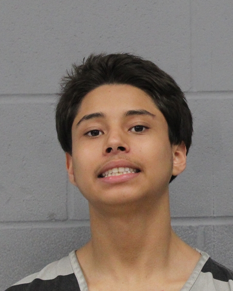 BRAYAN ALEAMAN-MESSA booking photo