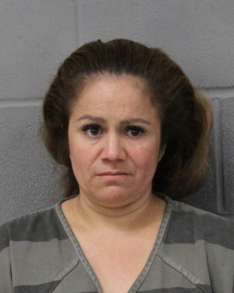 MARICELA DOMINGUEZ CARBAJAL booking photo