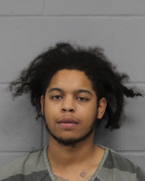 HUEY LEMELE booking photo