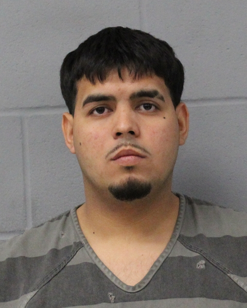 HENRY MEJIA-MEJIA booking photo
